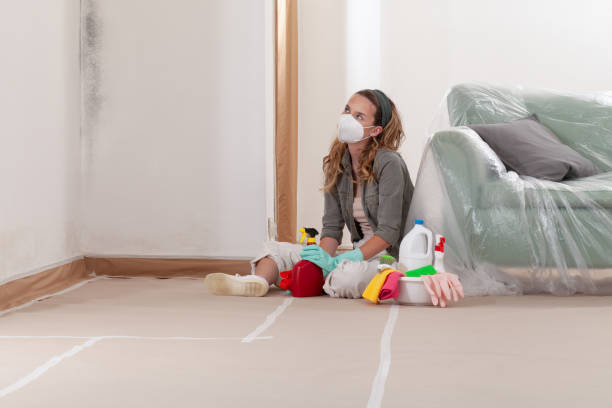 Reliable Mold Removal contractor in New Buffalo, MI by WQB Mold Removal
